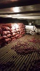 nandikoti_Chilli Cold Storage